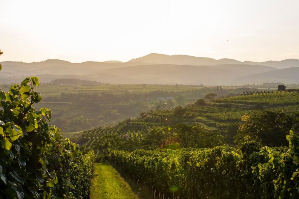 Vallée de Wachau en Autriche à vélo