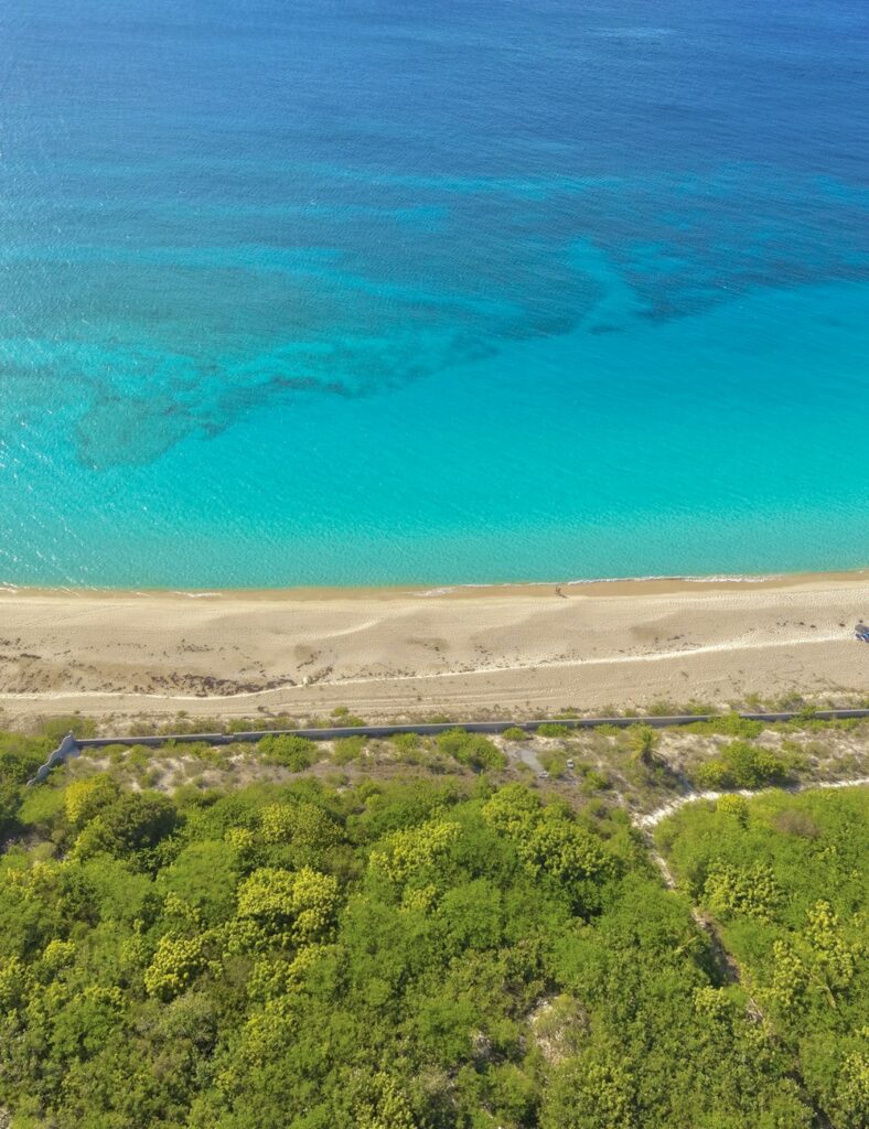 Caraïbes